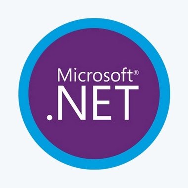 Microsoft .NET 5.0.8 (2021) PC