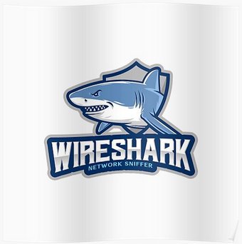Wireshark 4.0.1 (2022) PC | + Portable